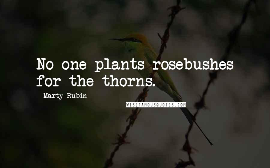 Marty Rubin Quotes: No one plants rosebushes for the thorns.
