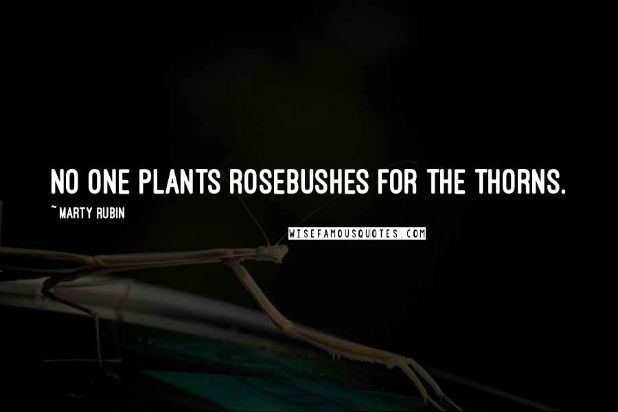 Marty Rubin Quotes: No one plants rosebushes for the thorns.