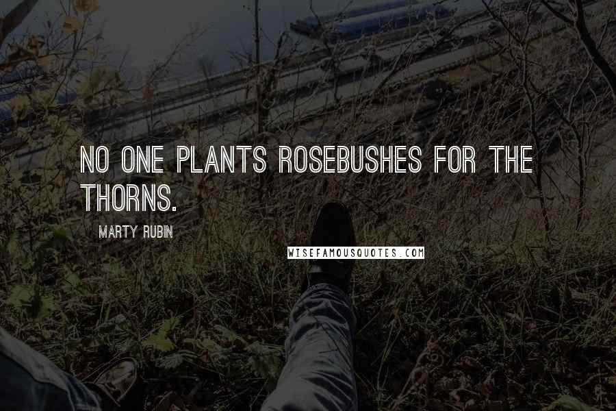 Marty Rubin Quotes: No one plants rosebushes for the thorns.