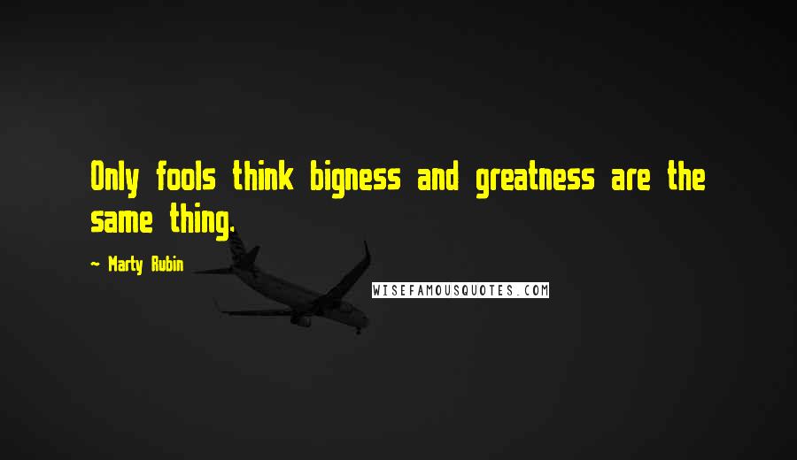 Marty Rubin Quotes: Only fools think bigness and greatness are the same thing.