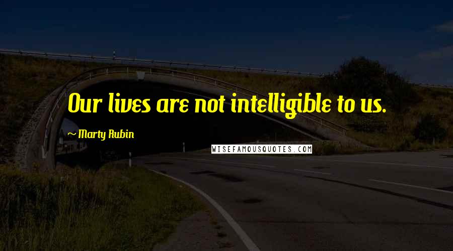 Marty Rubin Quotes: Our lives are not intelligible to us.