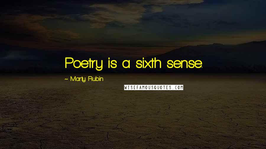 Marty Rubin Quotes: Poetry is a sixth sense.