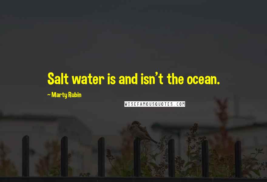 Marty Rubin Quotes: Salt water is and isn't the ocean.