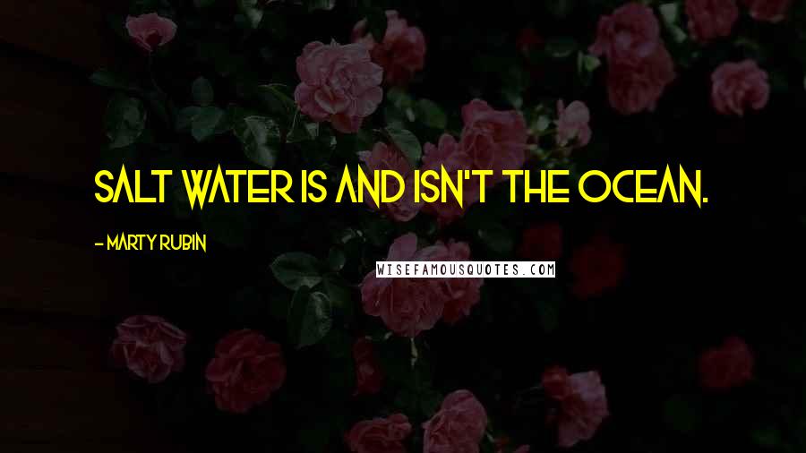 Marty Rubin Quotes: Salt water is and isn't the ocean.