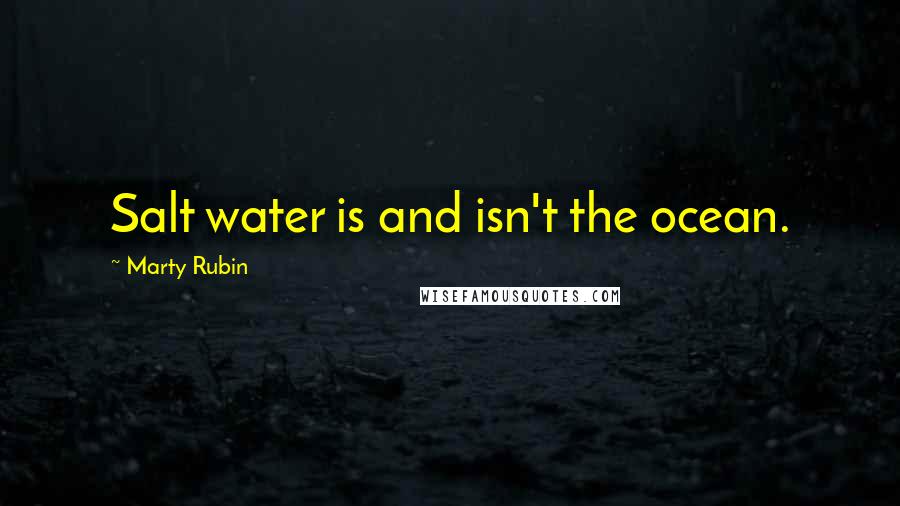 Marty Rubin Quotes: Salt water is and isn't the ocean.