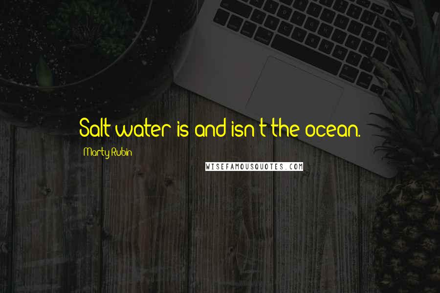 Marty Rubin Quotes: Salt water is and isn't the ocean.