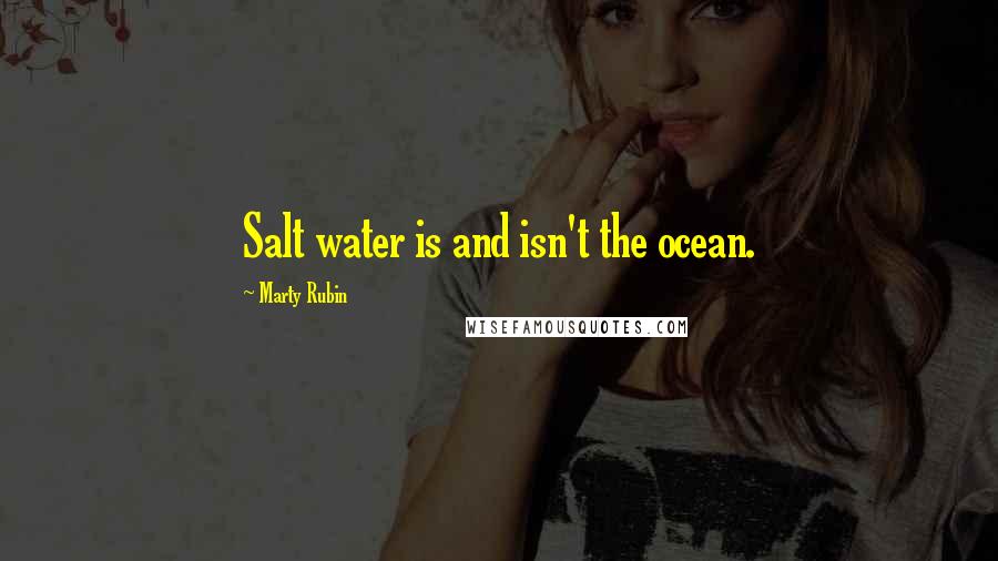 Marty Rubin Quotes: Salt water is and isn't the ocean.