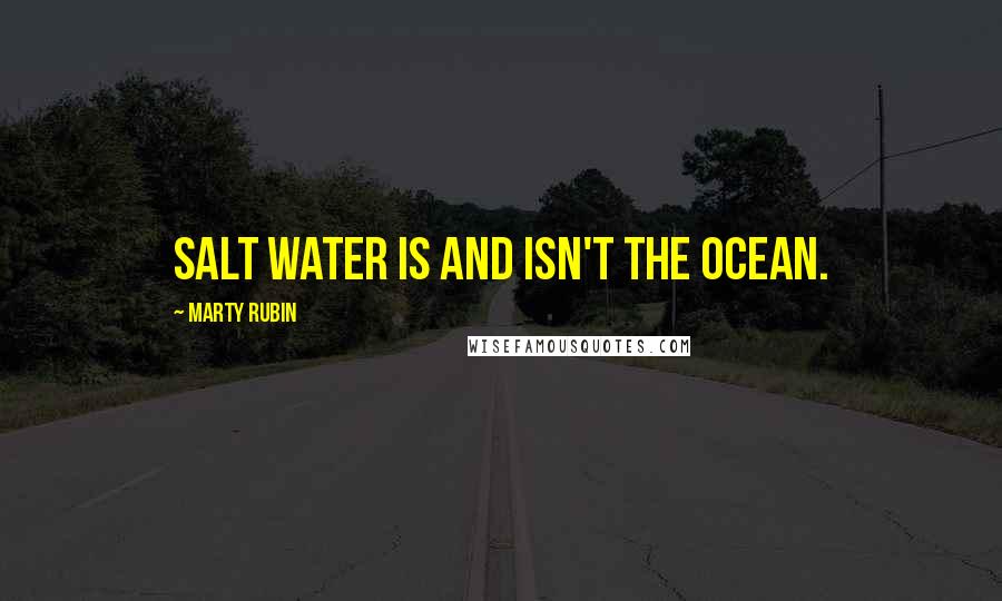 Marty Rubin Quotes: Salt water is and isn't the ocean.