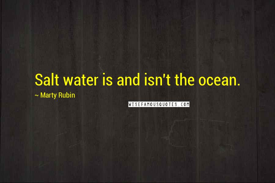 Marty Rubin Quotes: Salt water is and isn't the ocean.