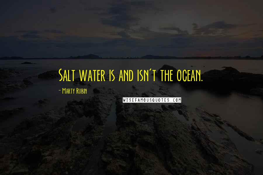 Marty Rubin Quotes: Salt water is and isn't the ocean.