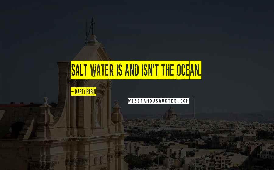 Marty Rubin Quotes: Salt water is and isn't the ocean.