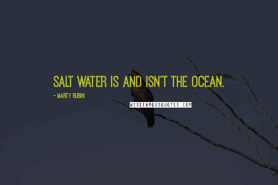 Marty Rubin Quotes: Salt water is and isn't the ocean.