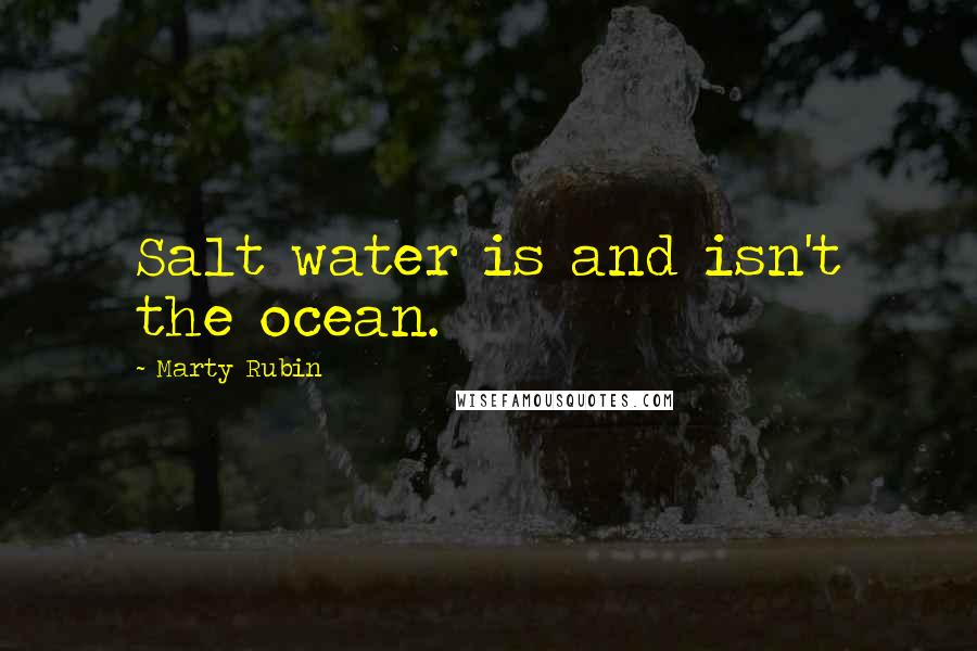 Marty Rubin Quotes: Salt water is and isn't the ocean.