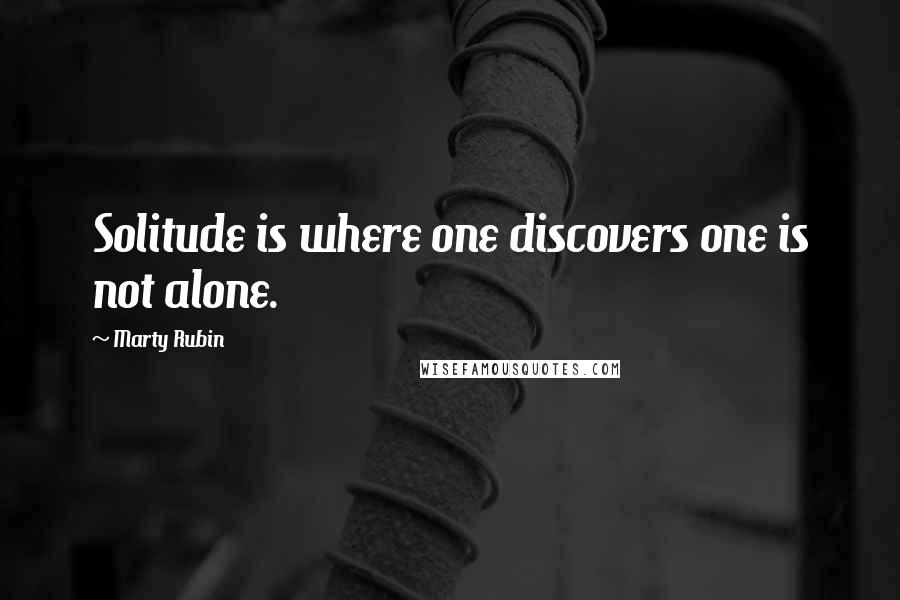 Marty Rubin Quotes: Solitude is where one discovers one is not alone.