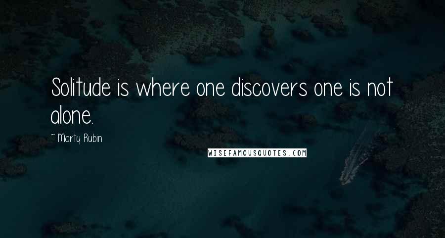 Marty Rubin Quotes: Solitude is where one discovers one is not alone.
