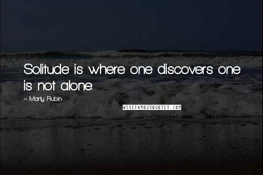 Marty Rubin Quotes: Solitude is where one discovers one is not alone.