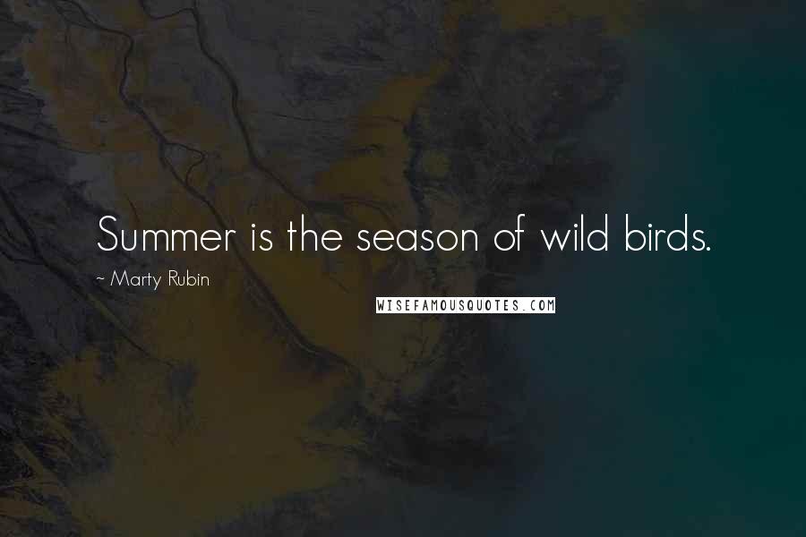 Marty Rubin Quotes: Summer is the season of wild birds.