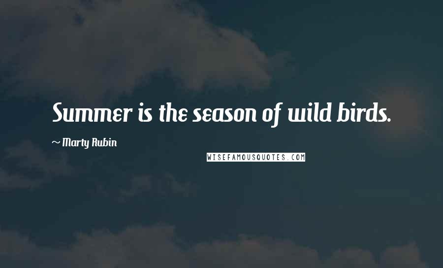 Marty Rubin Quotes: Summer is the season of wild birds.