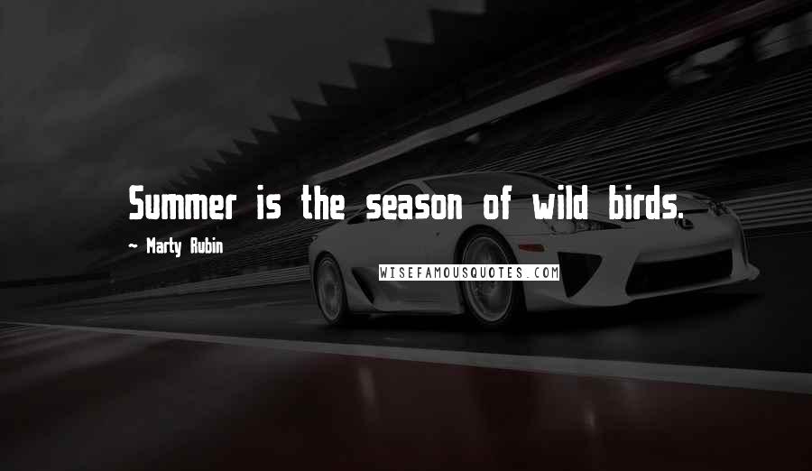 Marty Rubin Quotes: Summer is the season of wild birds.
