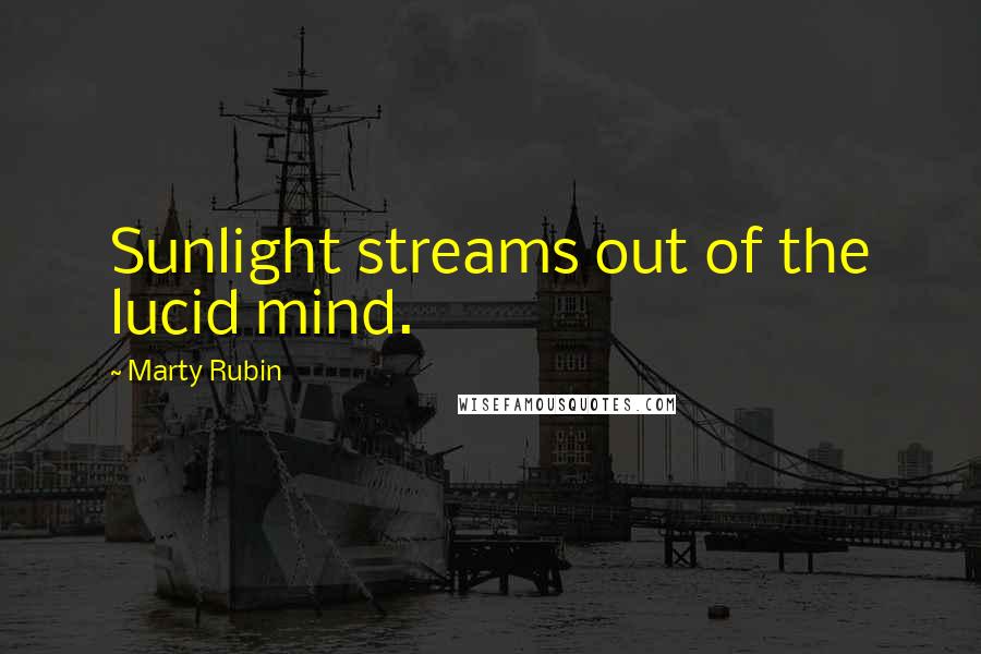 Marty Rubin Quotes: Sunlight streams out of the lucid mind.