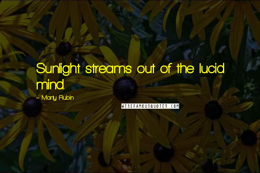 Marty Rubin Quotes: Sunlight streams out of the lucid mind.
