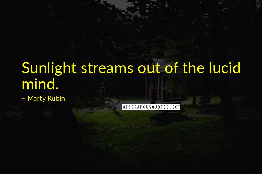 Marty Rubin Quotes: Sunlight streams out of the lucid mind.