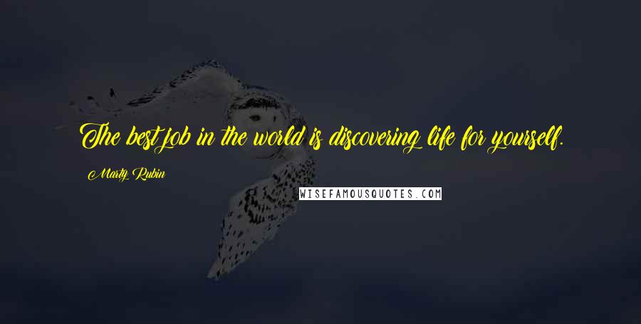 Marty Rubin Quotes: The best job in the world is discovering life for yourself.