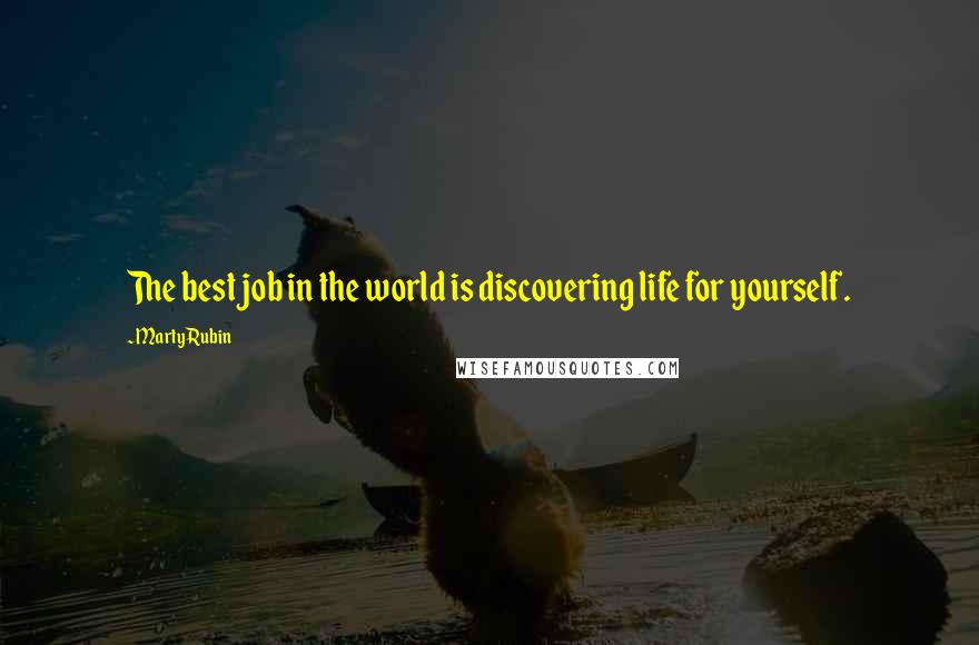 Marty Rubin Quotes: The best job in the world is discovering life for yourself.