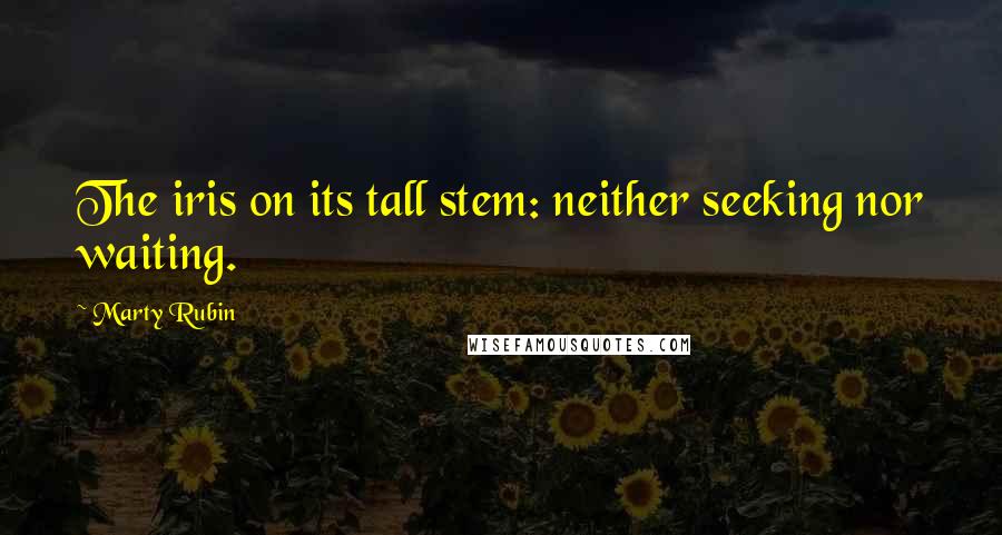 Marty Rubin Quotes: The iris on its tall stem: neither seeking nor waiting.