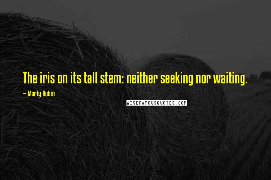 Marty Rubin Quotes: The iris on its tall stem: neither seeking nor waiting.