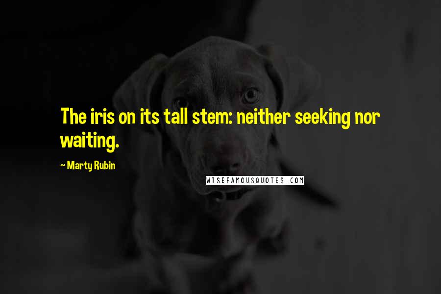 Marty Rubin Quotes: The iris on its tall stem: neither seeking nor waiting.