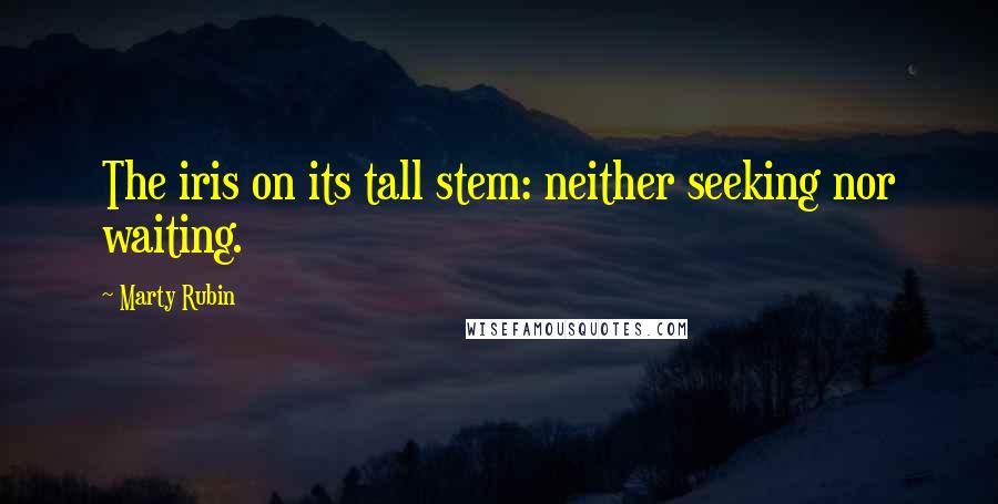 Marty Rubin Quotes: The iris on its tall stem: neither seeking nor waiting.