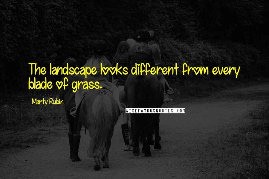 Marty Rubin Quotes: The landscape looks different from every blade of grass.