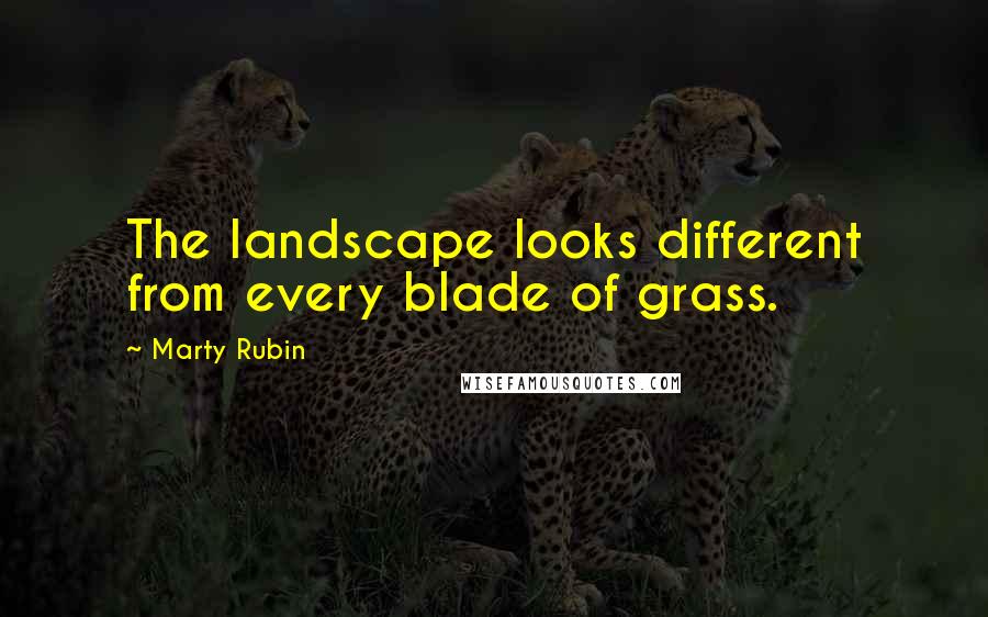 Marty Rubin Quotes: The landscape looks different from every blade of grass.