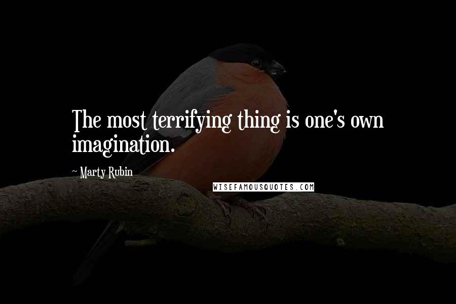 Marty Rubin Quotes: The most terrifying thing is one's own imagination.