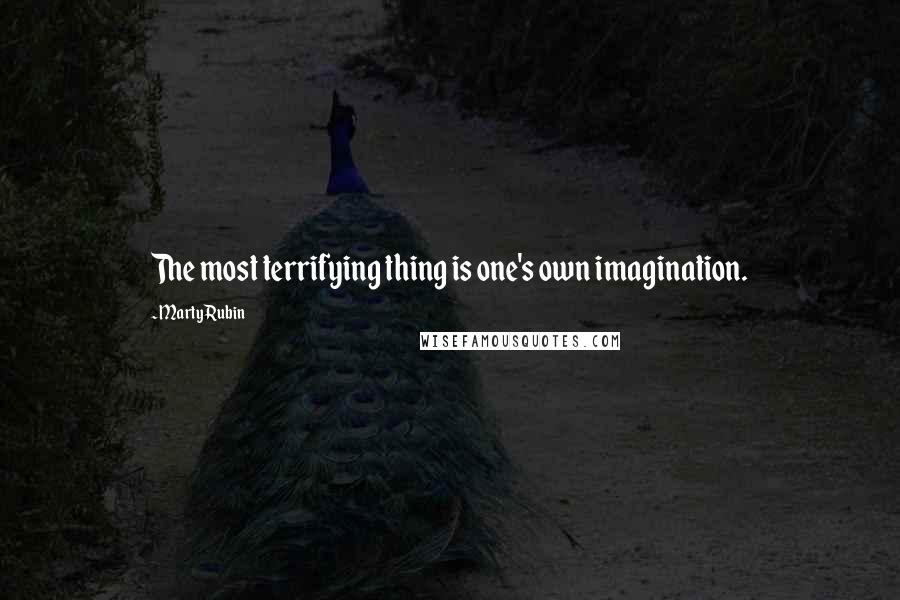 Marty Rubin Quotes: The most terrifying thing is one's own imagination.