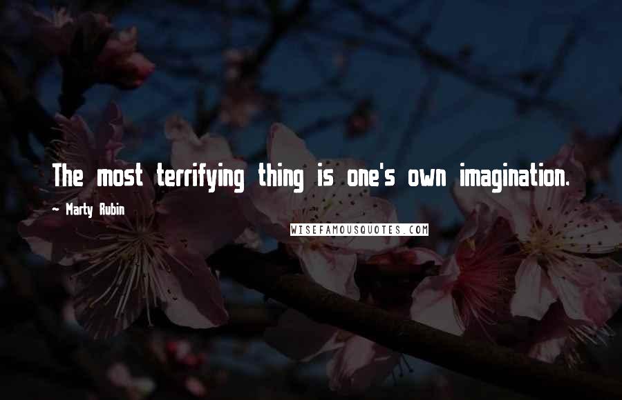 Marty Rubin Quotes: The most terrifying thing is one's own imagination.