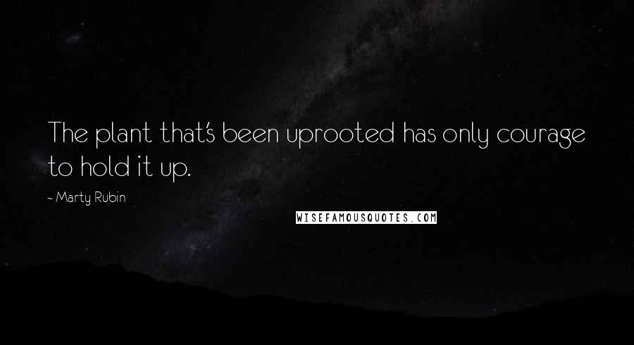 Marty Rubin Quotes: The plant that's been uprooted has only courage to hold it up.