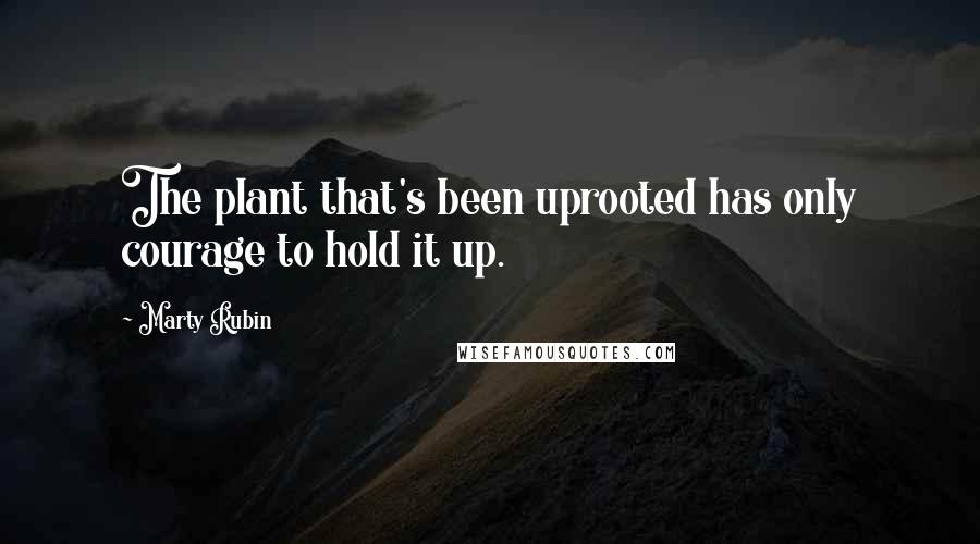 Marty Rubin Quotes: The plant that's been uprooted has only courage to hold it up.