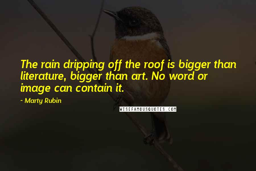 Marty Rubin Quotes: The rain dripping off the roof is bigger than literature, bigger than art. No word or image can contain it.