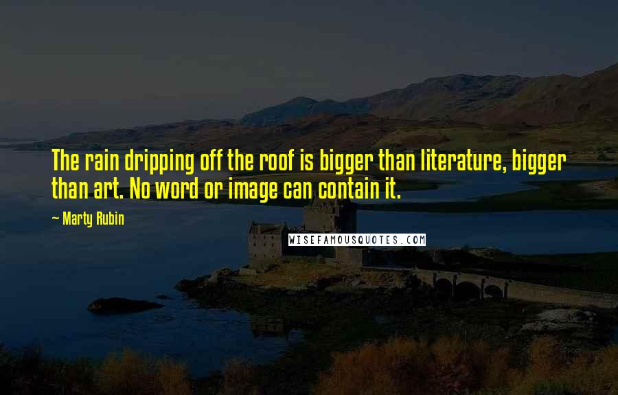 Marty Rubin Quotes: The rain dripping off the roof is bigger than literature, bigger than art. No word or image can contain it.