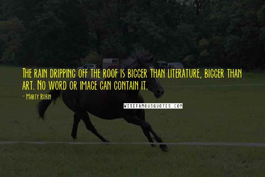 Marty Rubin Quotes: The rain dripping off the roof is bigger than literature, bigger than art. No word or image can contain it.