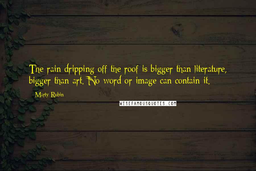 Marty Rubin Quotes: The rain dripping off the roof is bigger than literature, bigger than art. No word or image can contain it.