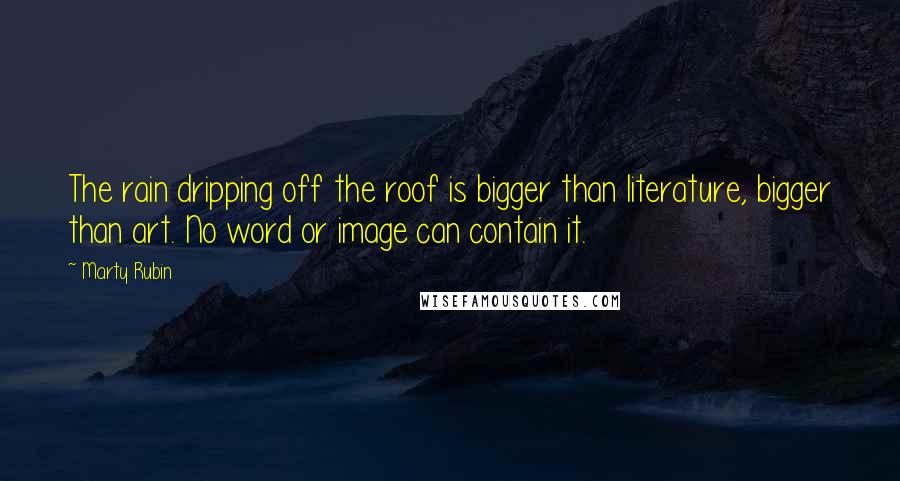 Marty Rubin Quotes: The rain dripping off the roof is bigger than literature, bigger than art. No word or image can contain it.