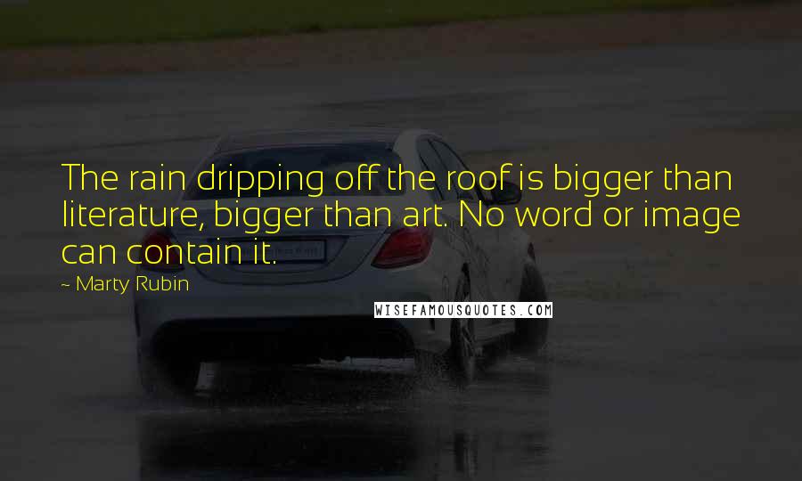 Marty Rubin Quotes: The rain dripping off the roof is bigger than literature, bigger than art. No word or image can contain it.