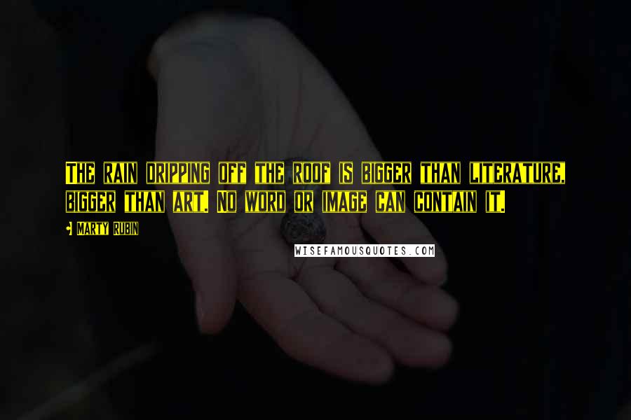 Marty Rubin Quotes: The rain dripping off the roof is bigger than literature, bigger than art. No word or image can contain it.