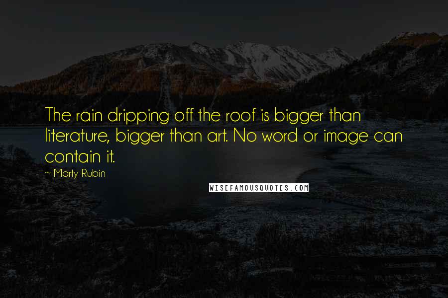 Marty Rubin Quotes: The rain dripping off the roof is bigger than literature, bigger than art. No word or image can contain it.