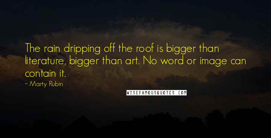 Marty Rubin Quotes: The rain dripping off the roof is bigger than literature, bigger than art. No word or image can contain it.