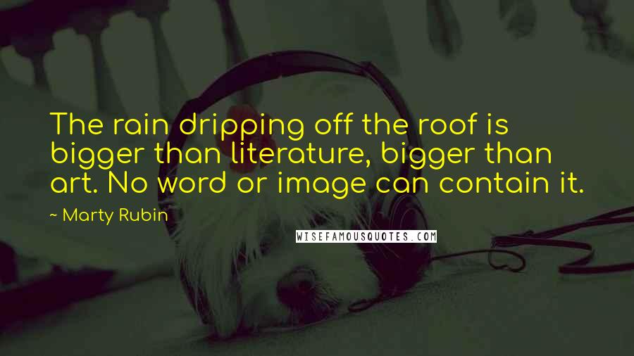 Marty Rubin Quotes: The rain dripping off the roof is bigger than literature, bigger than art. No word or image can contain it.