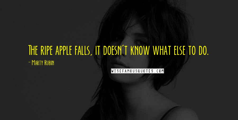 Marty Rubin Quotes: The ripe apple falls, it doesn't know what else to do.